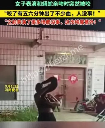 女子表演与蟒蛇亲嘴