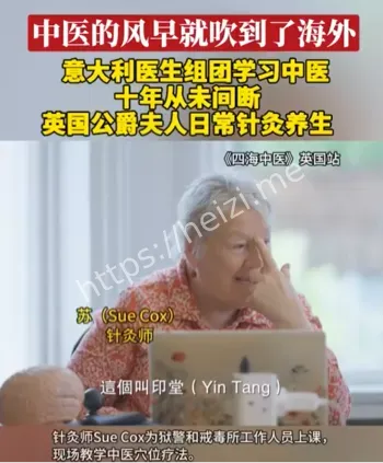 中医国际化趋势