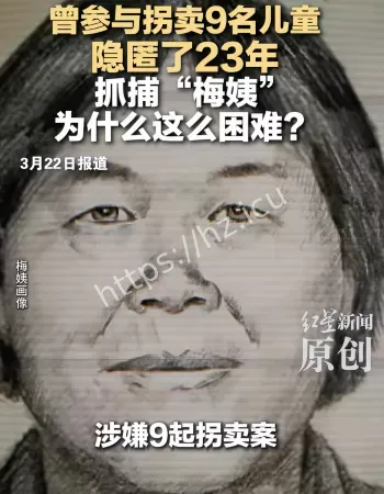 梅姨案侦办细节